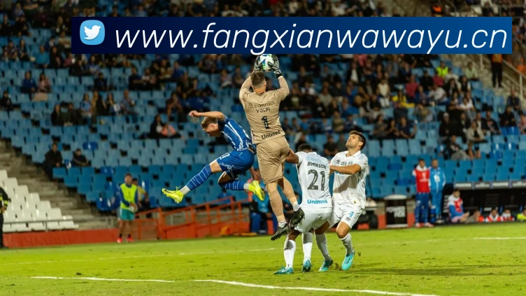 kaiyun入口平台生态图