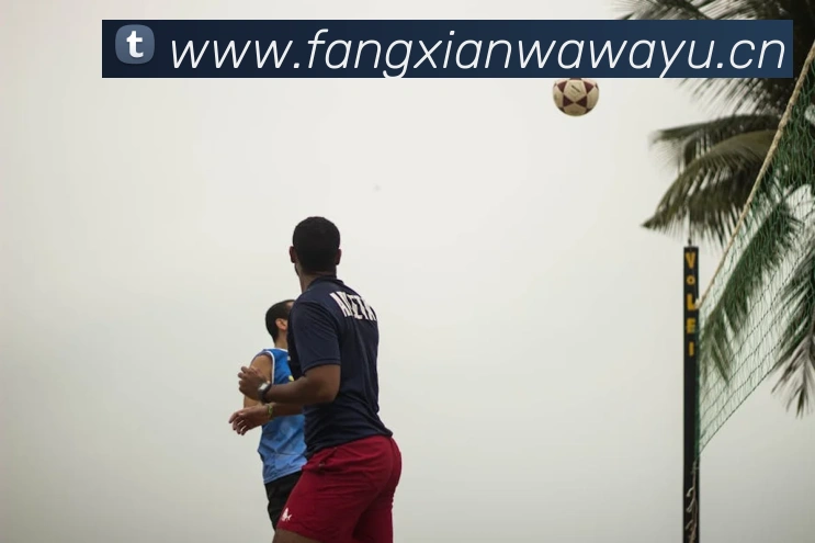 kaiyun入口APP 封面图